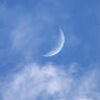 alaamyousef